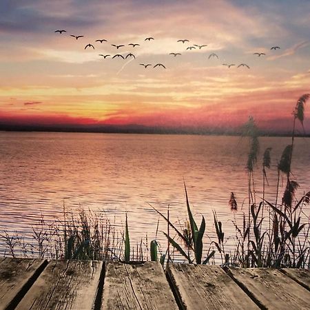 Fewo Erholsame Auszeit نيوبراندنبرغ المظهر الخارجي الصورة